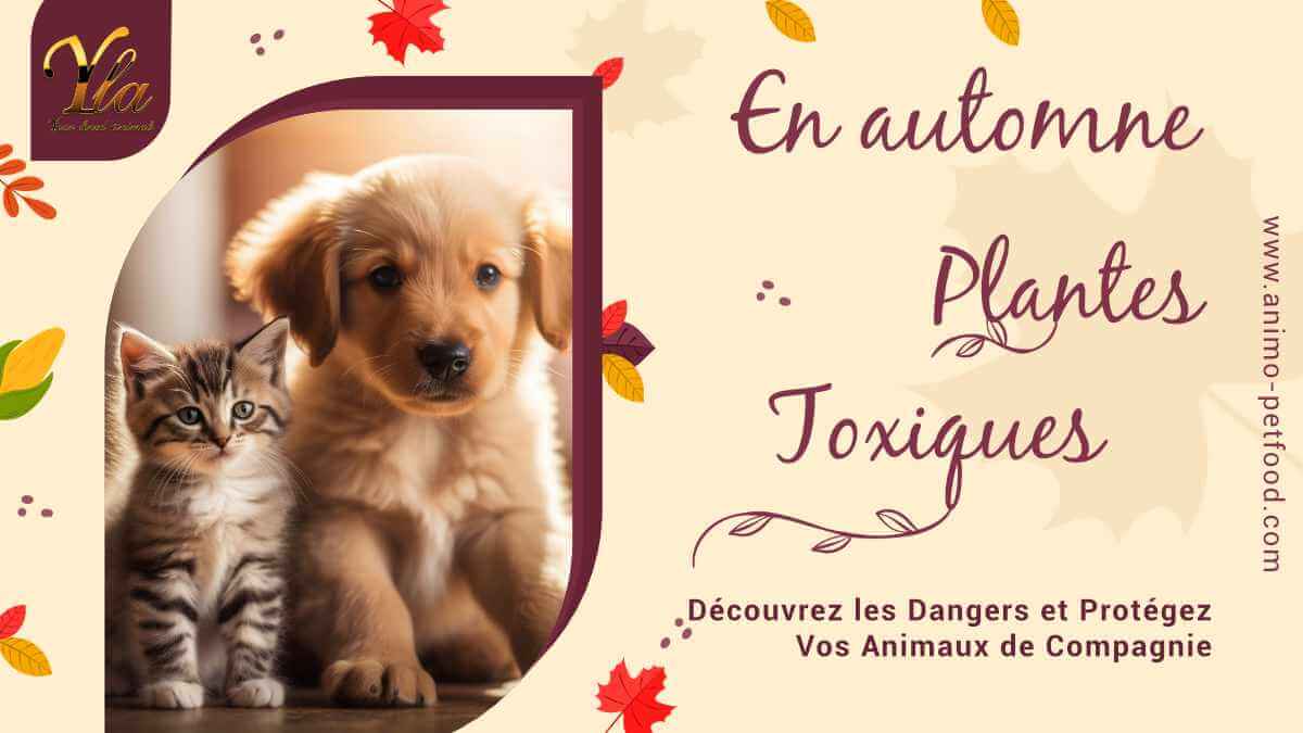 plantes-toxiques-en-automne-pour-chiens-et-chats